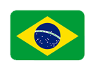 Бразилия flag