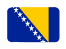 Босна и Херцеговина flag