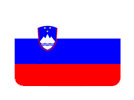 Словения flag