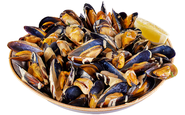 HAPPY MUSSELS