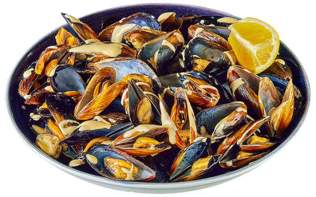 BURRATA MUSSELS